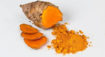 Now Meghalaya's Lakadong turmeric reaches US